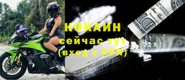 прущие грибы Арсеньев