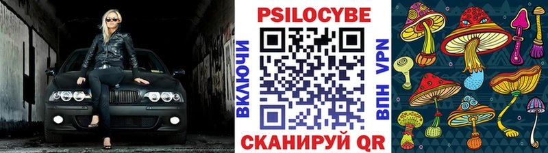 Псилоцибиновые грибы Psilocybine cubensis  Райчихинск 